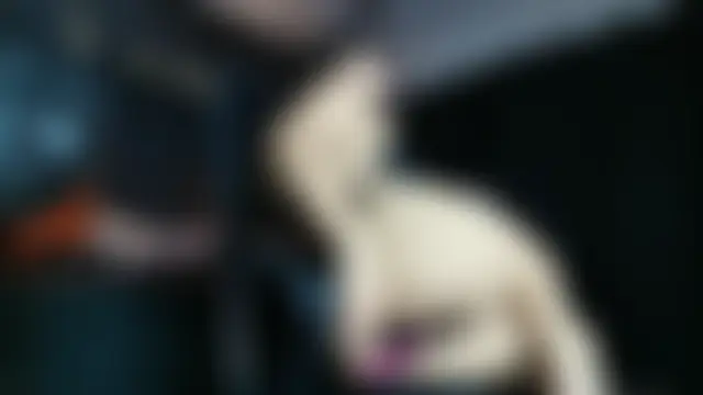 Czat XXX na żywo – AlexHoe_