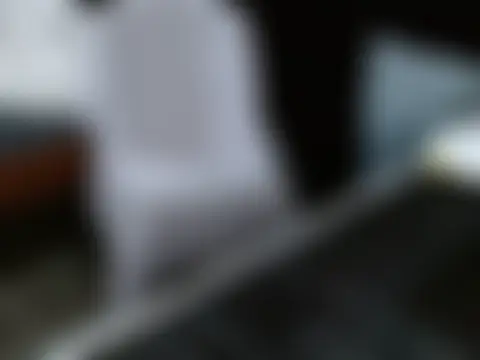 Pertunjukan Kamera Web VAZAK