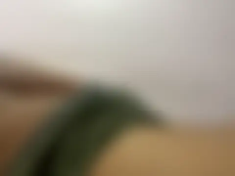 CALVINXXX's Webcam Show