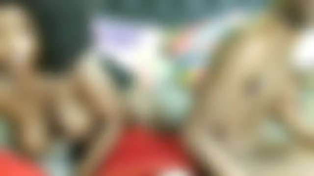 Chat XXX en directo de Dandelion_enigman