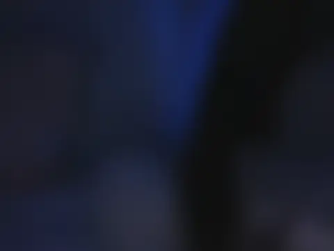 Switdelfy লাইভ চ্যাট রুম