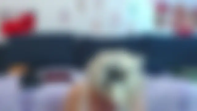 Webkamerová show PURE_SEDUCE__WOW___