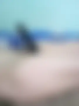 Tiomy99 실시간 채팅방