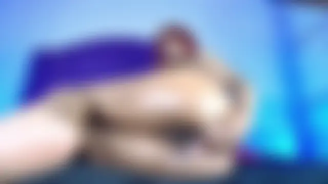 Chat +18 de sarah_banks1 ao vivo