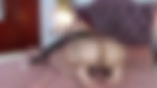 عرض كام niabusseth_