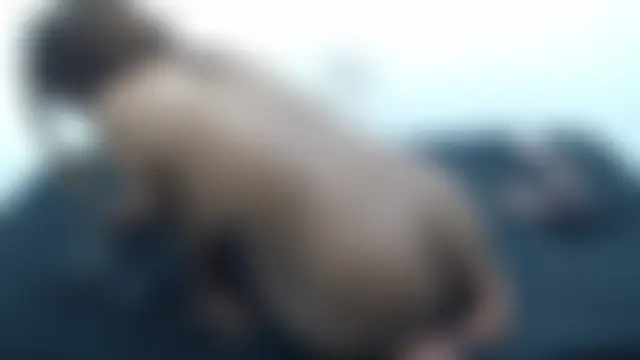 XAmberDiamondxxx live-chat rom