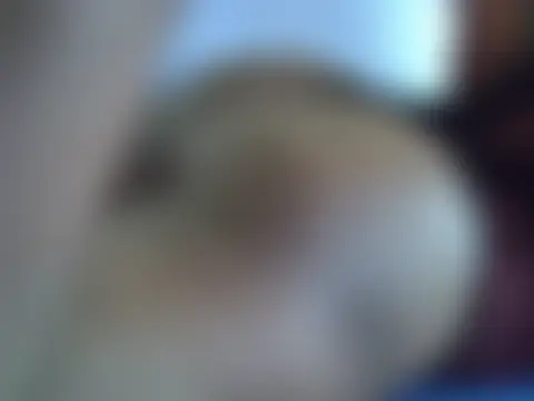 ebonyzoey Cameră chat live