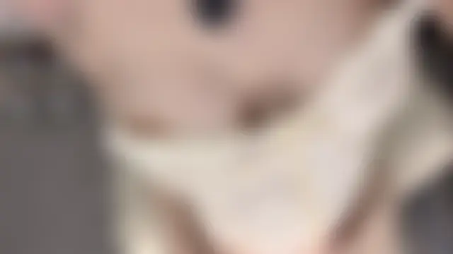 xi-xii 网络视讯表演