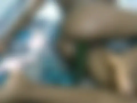 Sexxieshanty – Live XXX-chat