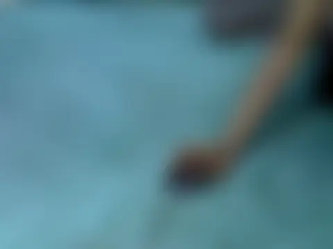 Seductive_Sage élő chatszobája