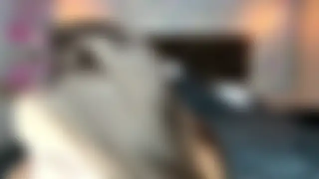 LoraDavi's Live XXX Chat