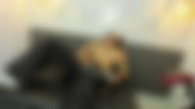 JeyTeylor – Kamerová šou