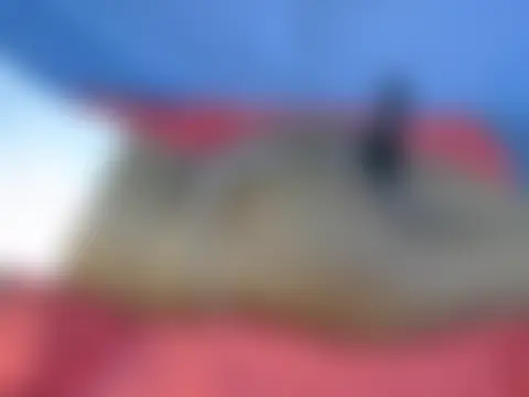 portiax: онлайн-чат