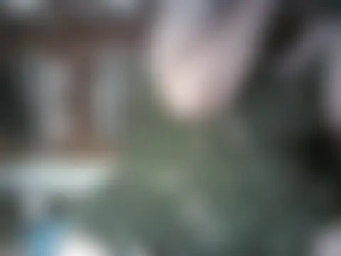 bigmommaxxx81 即時 XXX 聊天