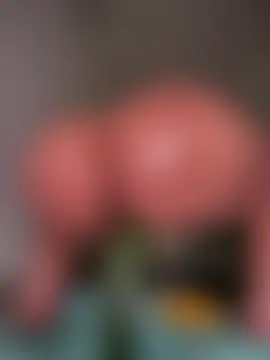 DIANITA_1988's Webcam Show