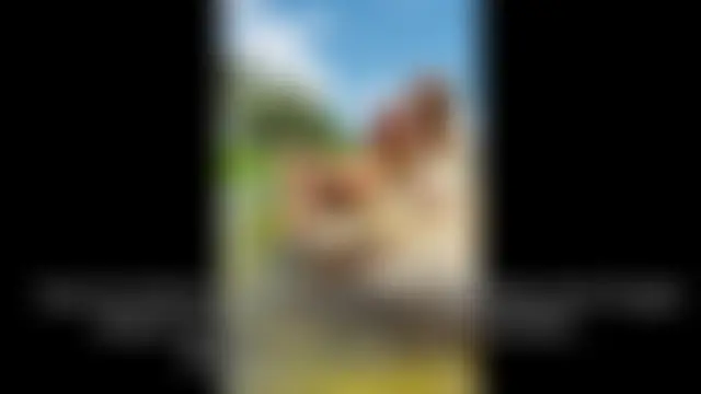 IsabellaFerreiraa live-chat rom