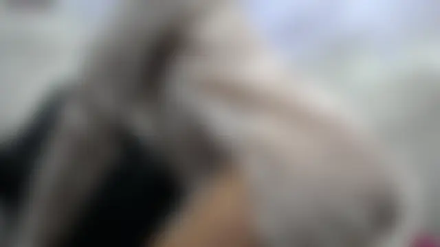 kyra_jeet Adlı Modelin Canlı XXX Sohbeti