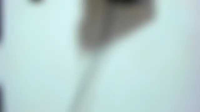 ZeusBrant Show Webcam