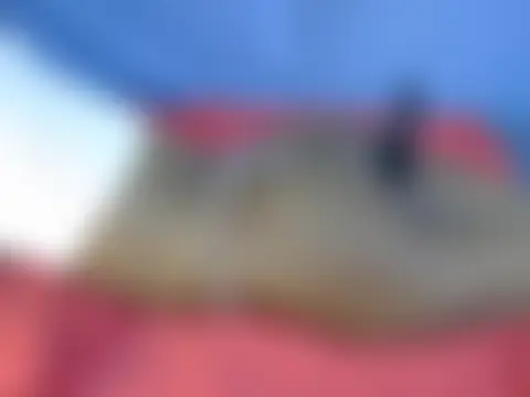 portiax লাইভ XXX চ্যাট