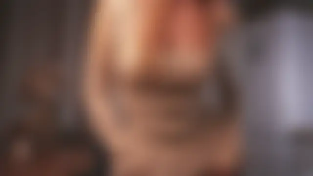 tayashy লাইভ XXX চ্যাট