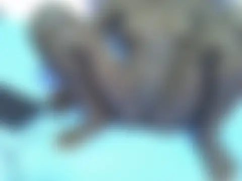 drowllie 即時聊天室