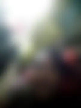 Pokazy przed kamerką – Loomaraj