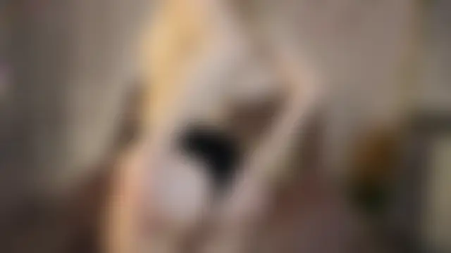 NyxaThorn Obrolan Langsung XXX