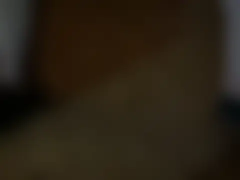 Show Webcam de deskriptive