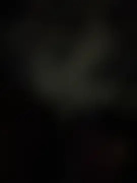 lindaandtony 在線直播表演