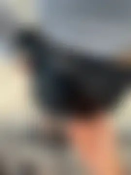 tanhua002のウェブカメラショー