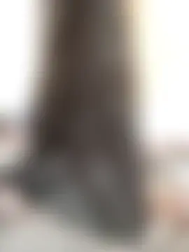 Rising_Queen 웹캠 쇼