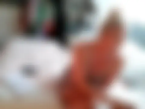 MaggieMoonxxxのライブチャットルーム