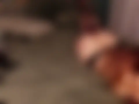 Linoo-off élő chatszobája