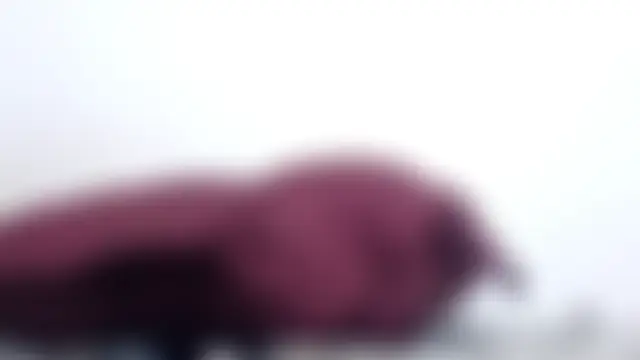 lexy_sweet's Webcam Show