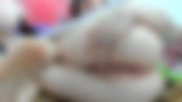 Онлайн чат cherry_weet_29