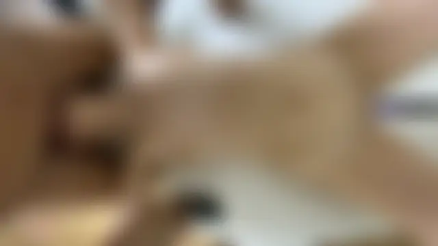 Show webcam de SunriseGuys