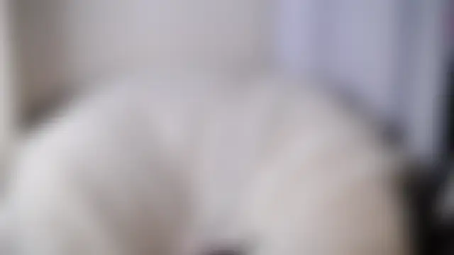 Chat +18 de TemikaAltvater ao vivo