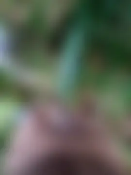 maxvergo Webcam Show