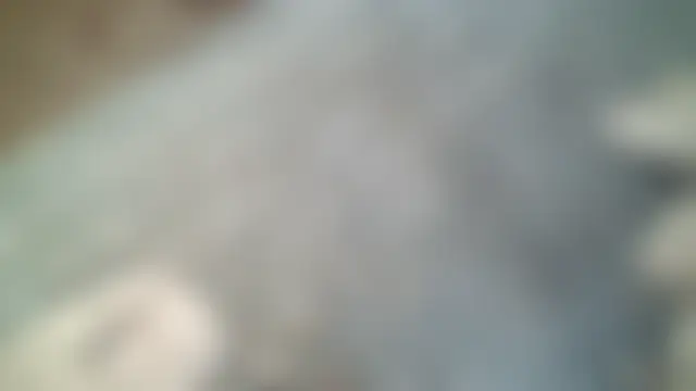 Show Webcam de AcademicHuman67