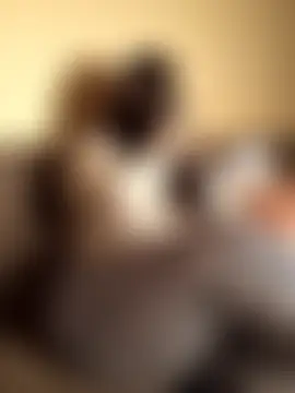 Show Webcam de LONA-_-