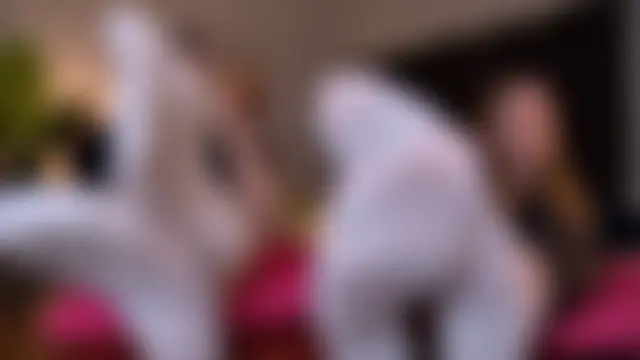 JenniferGraces Adlı Modelin Canlı XXX Sohbeti