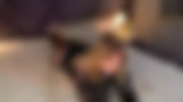 WendyPage: δωμάτιο απευθείας συνομιλίας