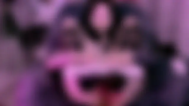 Sala de chat ao vivo de Lein_Bone