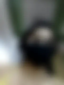 Sembang XXX Secara Langsung PUNAM456