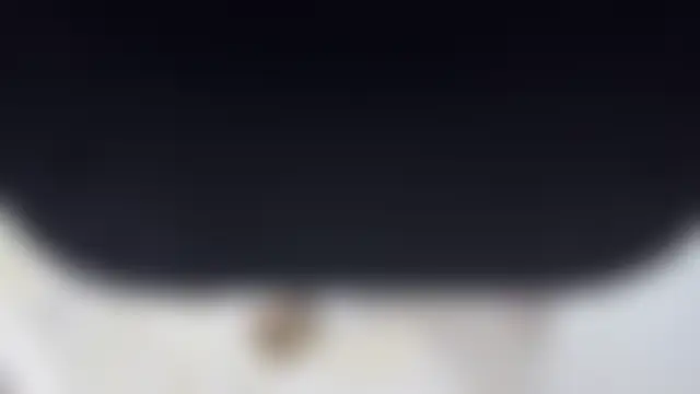 AvisFlowers 现场XXX聊天