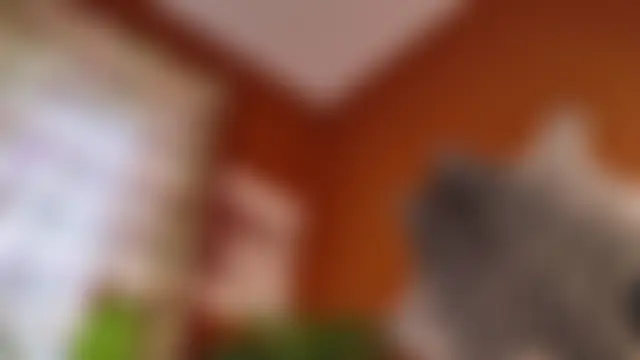 Chloe_princesss Chat XXX in diretta