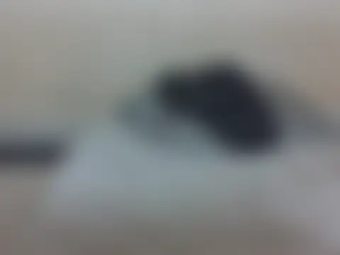 Sembang XXX Secara Langsung SexyNeedle22