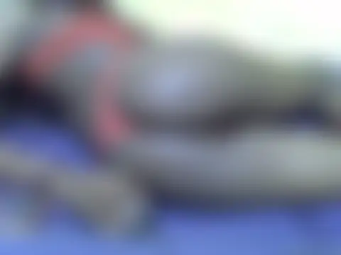 MissririXO লাইভ চ্যাট রুম