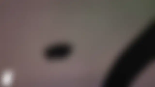 แชท XXX สดของ kitsun_ne