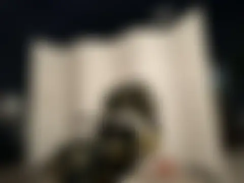 wynterheat 即時 XXX 聊天